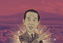 Bintang Kecil, Cahaya Negeri