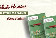 Maraknya Problematika Sampah, Pengelolaan Sampah Menjadi Solusinya