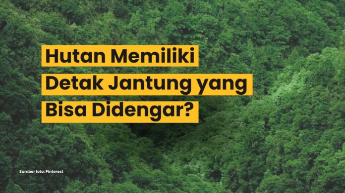 WhatsApp Image 2025-12-16 at 21.18.19