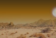 Malam yang Lebih Panjang dari Seribu Mimpi